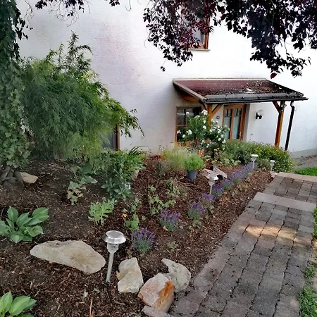 Storchenschnabel *